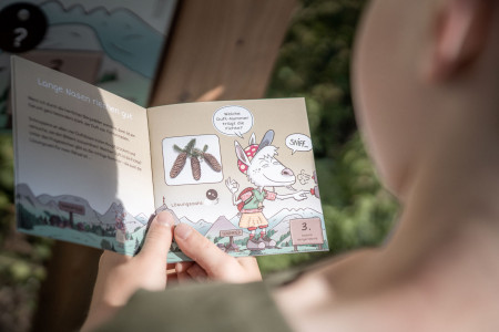 Schoenried Saanenmoeser Saanis Bergerlebnis Sommer Raetsel loesen