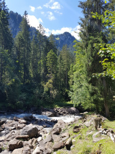 aeschi bei spiez suldtal ©Nicole Geissbühler