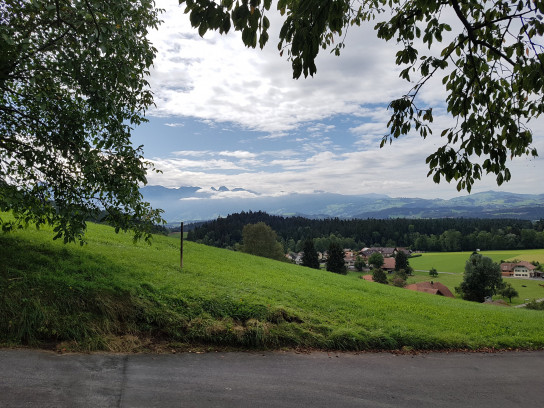 aussicht erlebnisweg brenzikofen