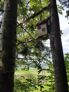 erlebnisweg brenzikofen