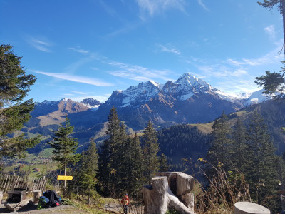 grillstelle vogellisiweg adelboden