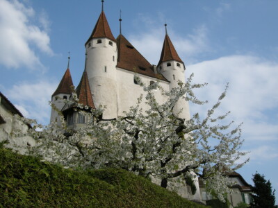 2013 Schloss Thun