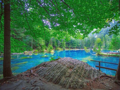 2022 Naturpark Blausee