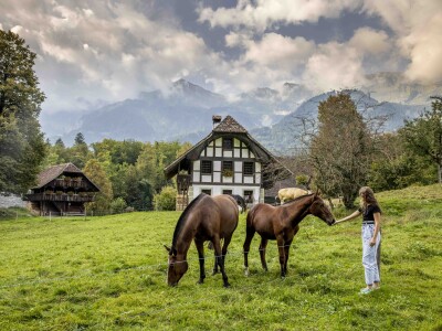 Freilichtmuseum Ballenberg