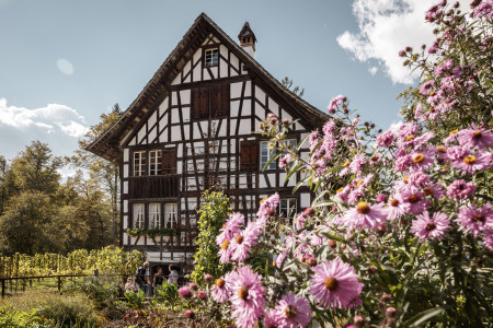 Riegelhaus Freilichtmuseum Ballenberg