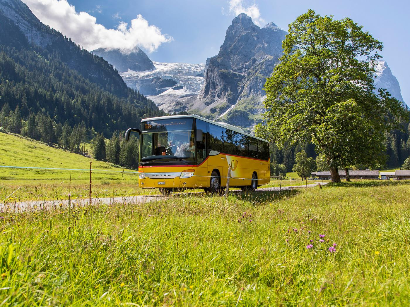 @PostAuto