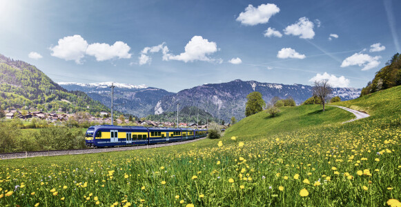 BOB Zug mit Blumen und Dorf