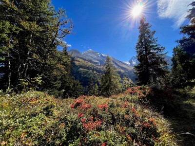 2024 Kandersteg Sunnbueel