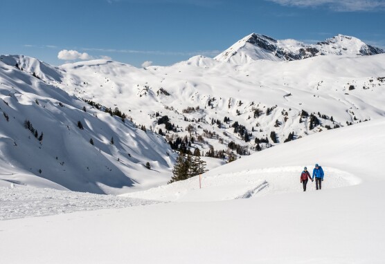 Winterwandern am Betelberg 2 Bergbahnen Adelboden Lenk AG v2