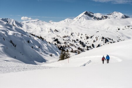 Winterwandern am Betelberg 2 Bergbahnen Adelboden Lenk AG v2