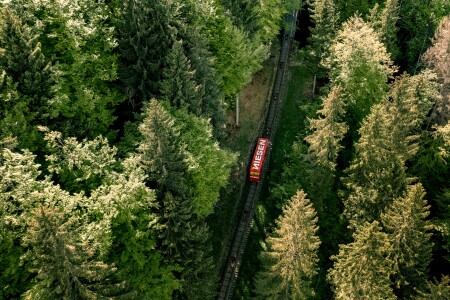 Niesen Die historische Niesenbahn von 1910