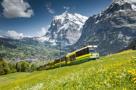 Wengernalpbahn Zug von vorne mit Tal