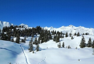 Schneeschuhtrail Elsigenalp