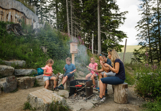 Sillerenbuehl Familienausflug Bergbahnen Adelboden Lenk AG Fotografin Anja Zurbruegg