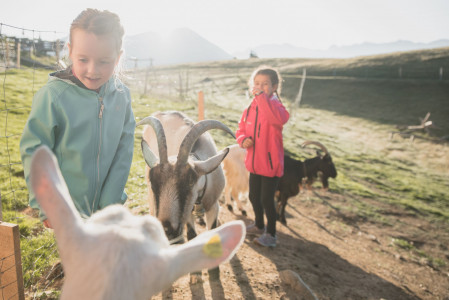 Bergbahnen Gstaad Kinder Ziegen Familie