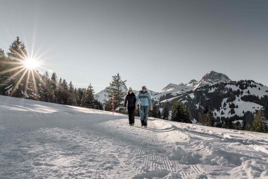 Eggli Winterwandern Winter 1 Destination Gstaad Yannick Romagnoli