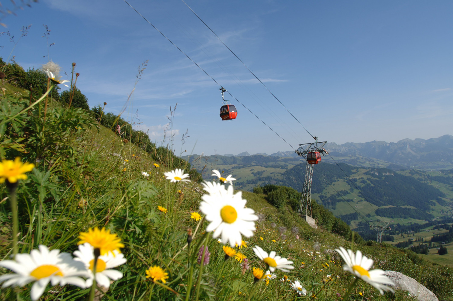 Gondelbahn Rinderberg