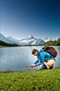 Bachalpsee blaues Juwel