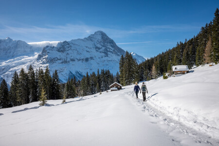 Grindelwald First Bort zwei Personen am Wandern von hinten weit weg mit Eiger