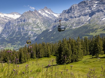 Gondelbahn Grindelwald Maennlichen