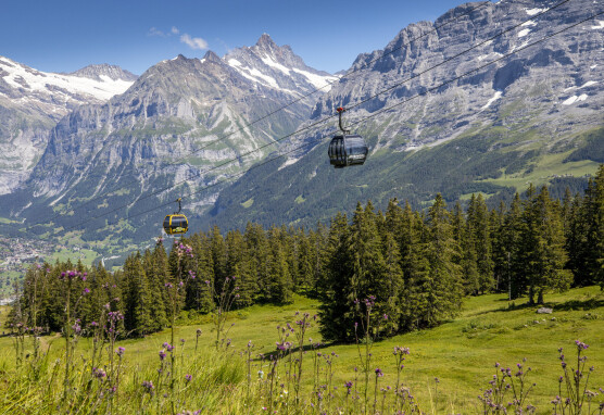 Gondelbahn Grindelwald Maennlichen