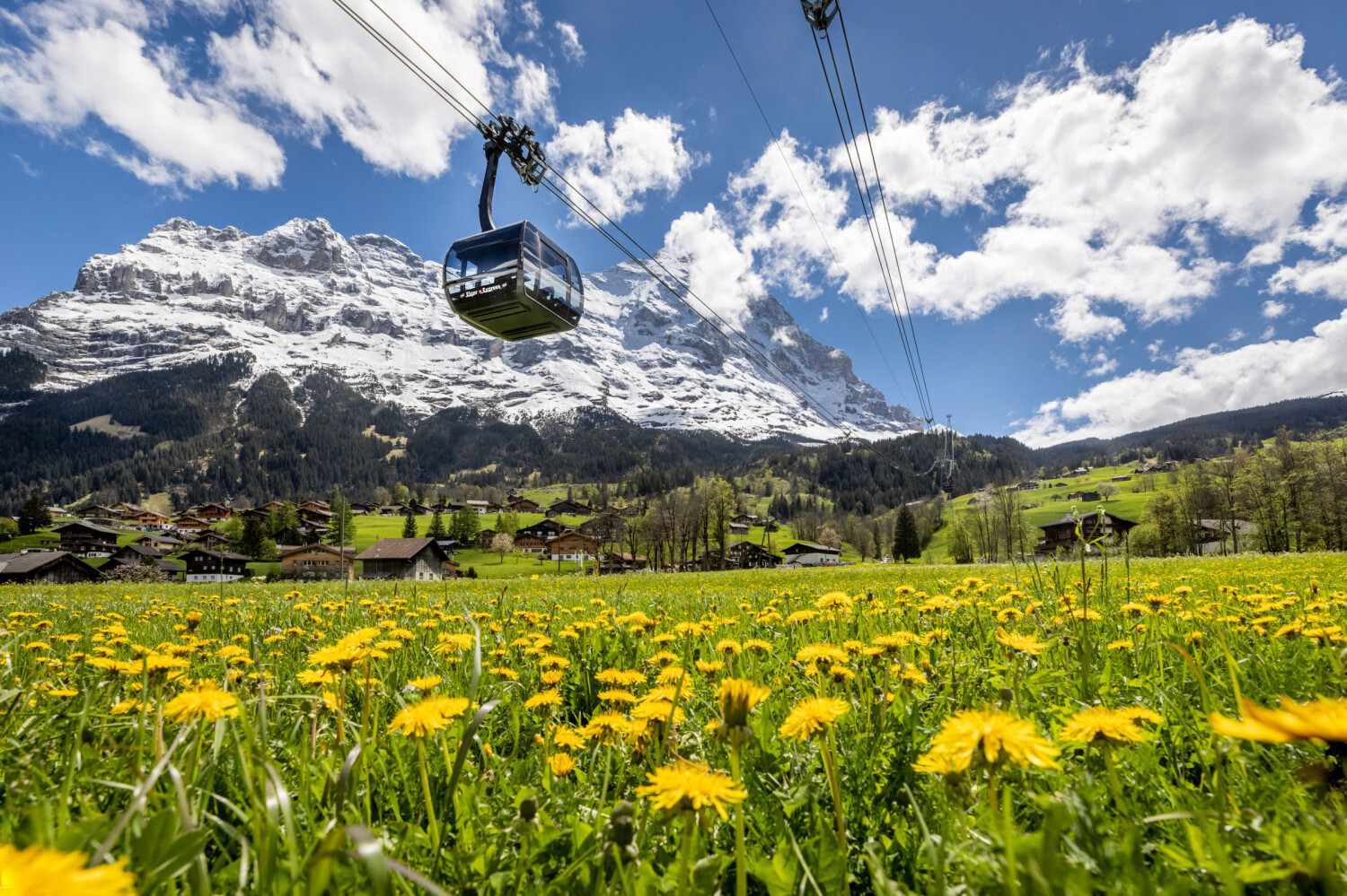 Eiger Express Eiger Sommer Blumenwiese