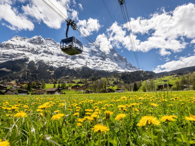 Eiger Express Eiger Sommer Blumenwiese