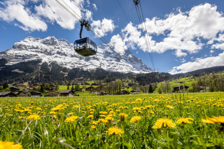 Eiger Express Eiger Sommer Blumenwiese
