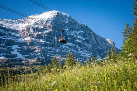 Eiger Express VIP Kabine von unten mit Blumen.und Eiger naeher