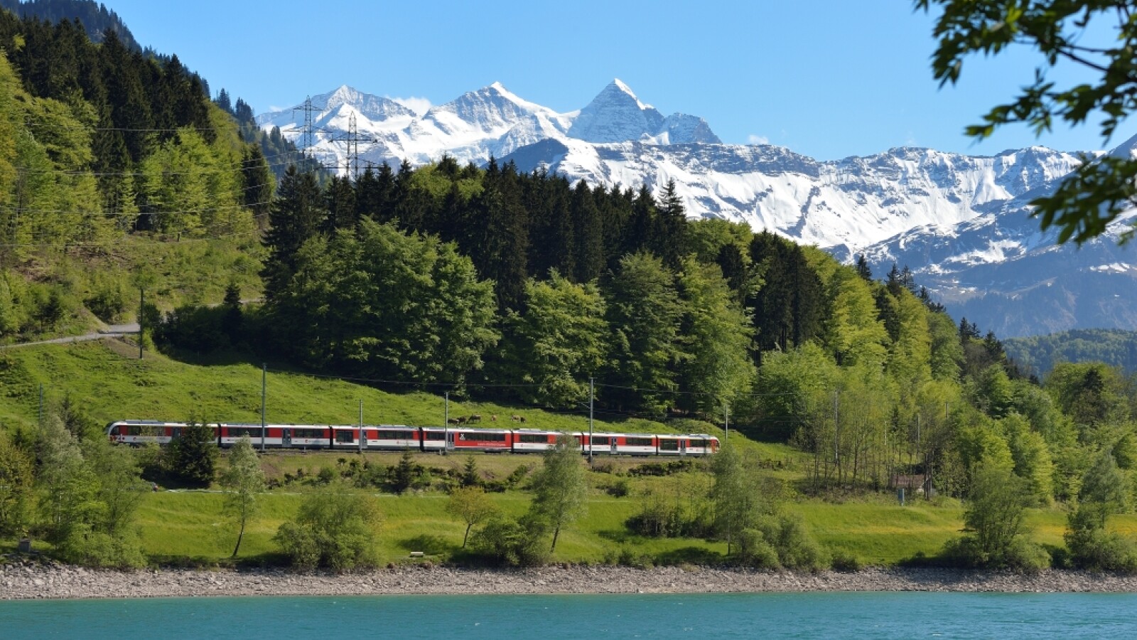 Erlebnisreiche Reise mit dem Luzern-Interlaken Express
