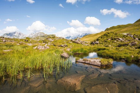 Melchsee Frutt Sommer 5
