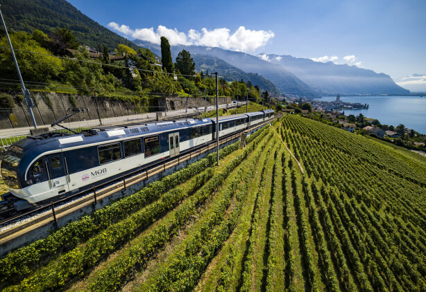 2021 MOB Genfersee Rebberge