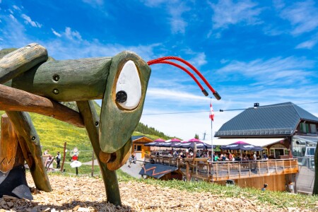 Allmendhubel Spielplatz 2