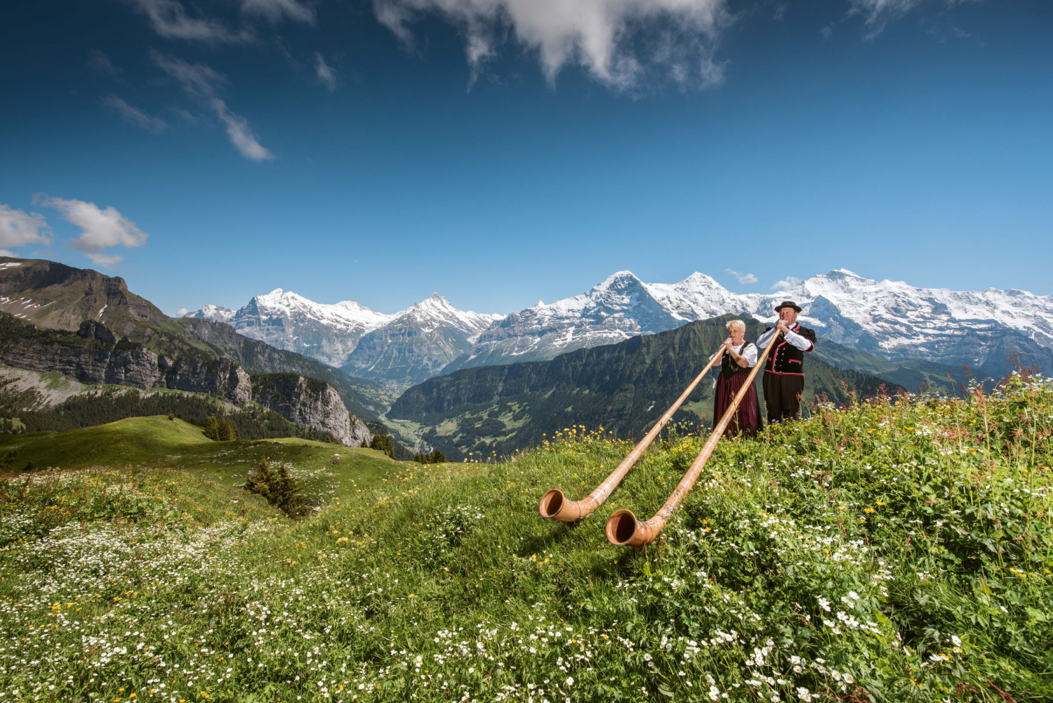 schynige platte alphornblaeser sommer 01