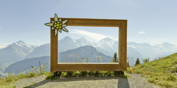 schynige platte naturkino eiger moench jungfrau sommer