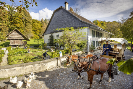 2023 pferdekutsche ballenberg