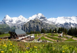 Allmendhubel Sommer H2A0080 webalbum 2 gall