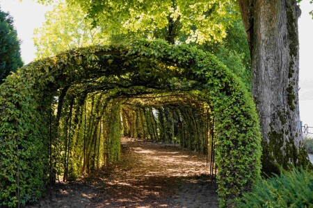 Laubengang Schloss Oberhofen