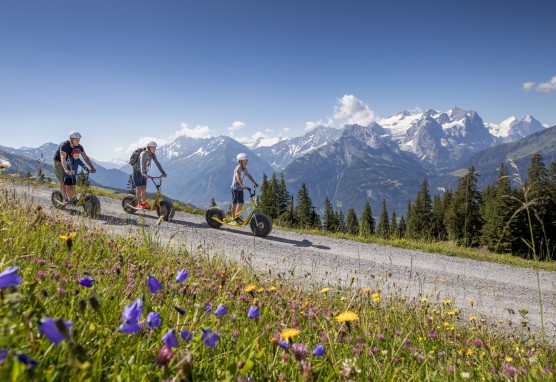 Meiringen Hasliberg Trottibike