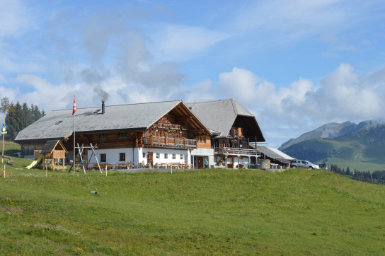 Site Alp Zweisimmen v2