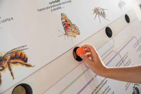 World Nature Forum Bestaeuber Brig Wallis