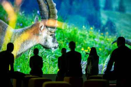 World Nature Forum Kino Brig Wallis