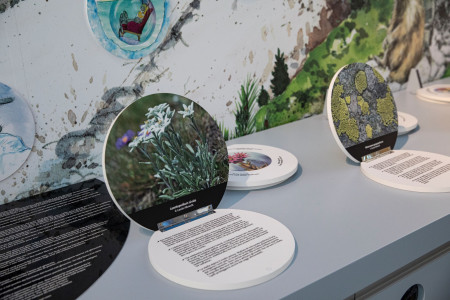 World Nature Forum Alpenflora Brig Wallis