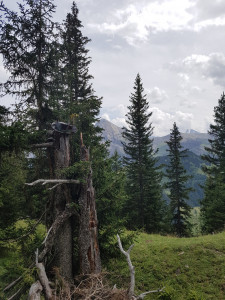 posten vogellisi erlebnisweg