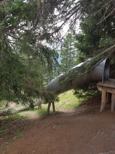 rutsche vogellisi erlebnisweg