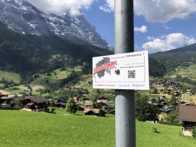 schild grindelwald 1