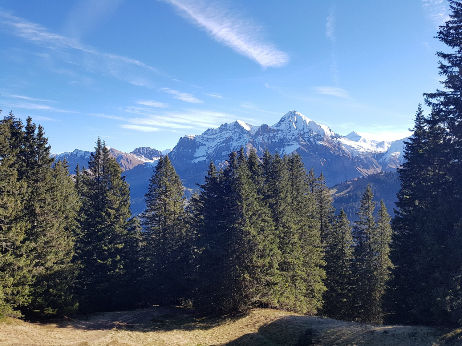 vogellisiweg adelboden